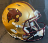 Texas State Bobcats 2004 Full Size Helmet Decal package